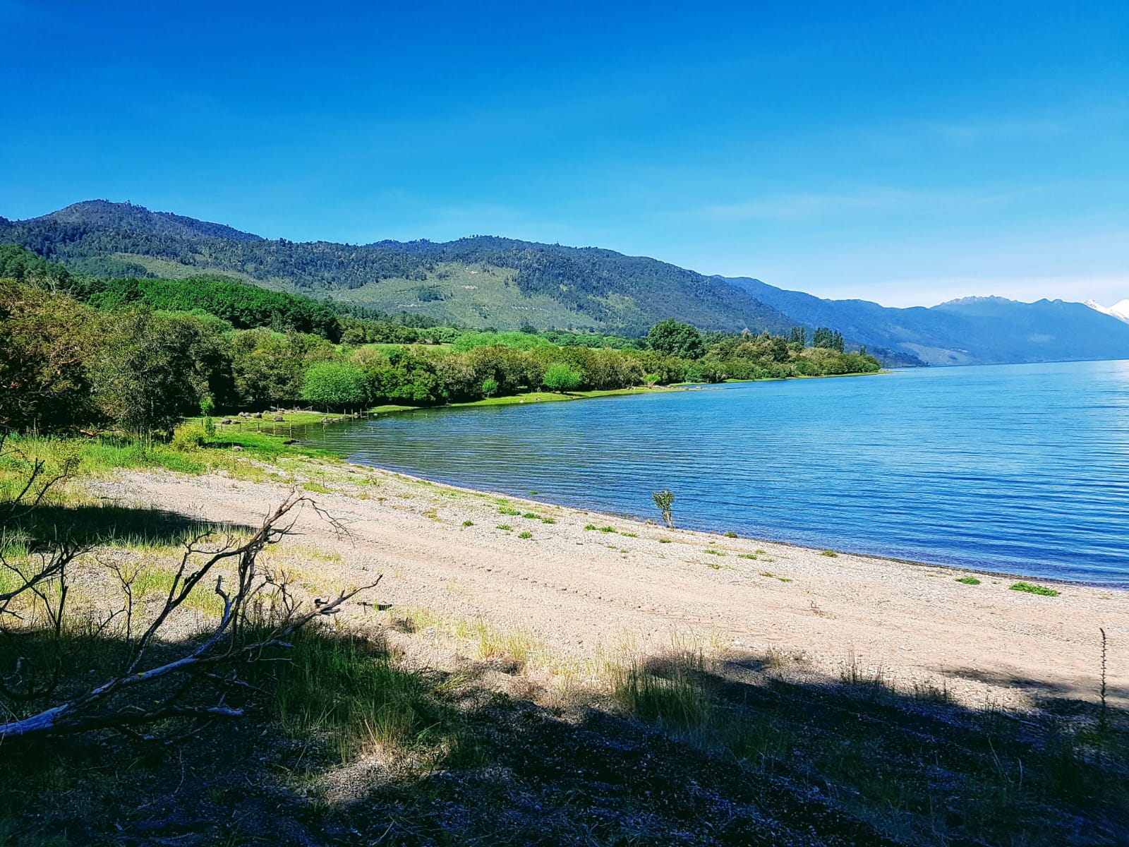 Parcela de 51,9 hectáreas con 1.100 m de orilla de lago - Imagen 3