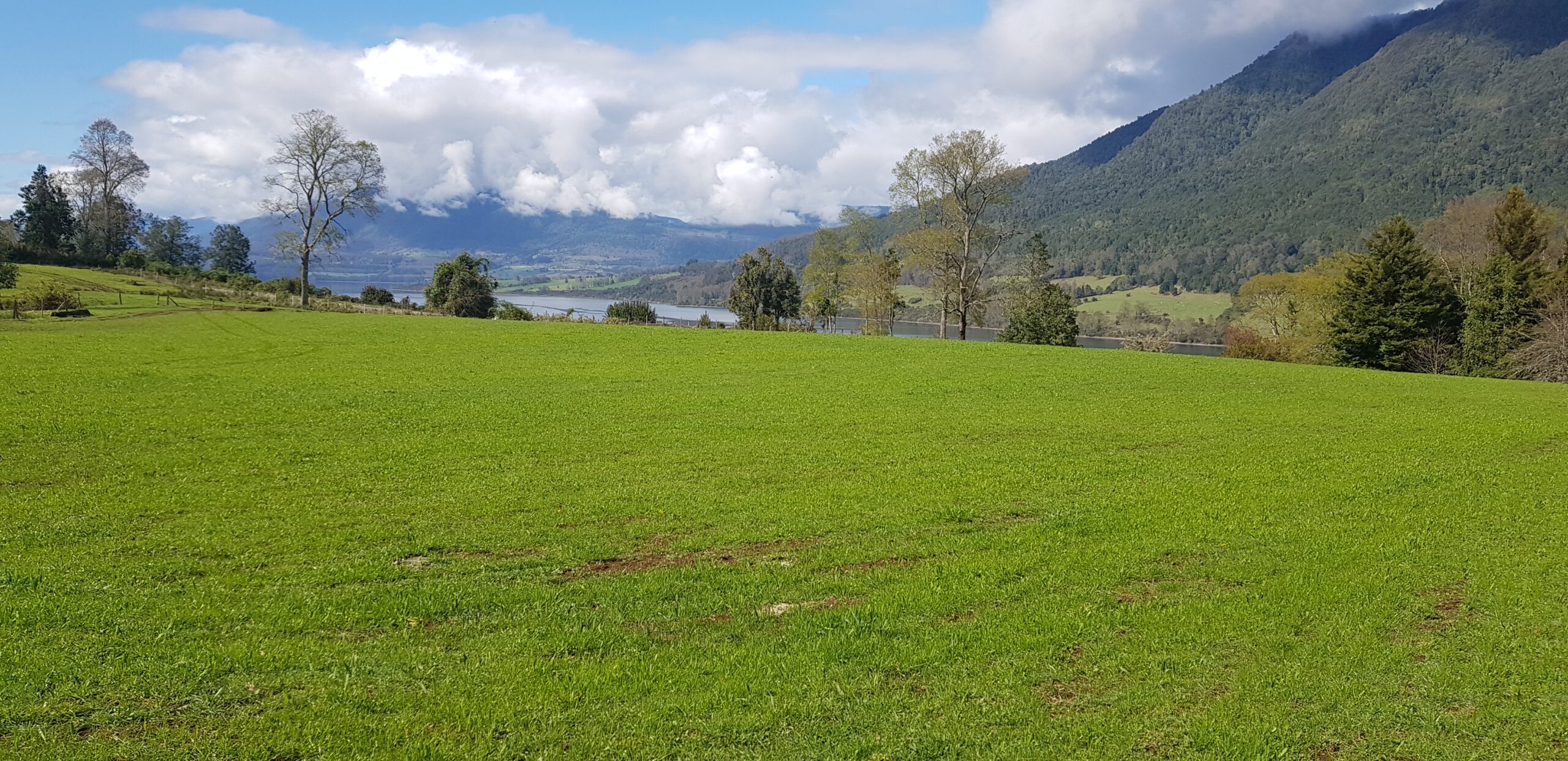 47 hectáreas con vista a lago - Imagen 8