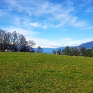 47 hectáreas con vista a lago