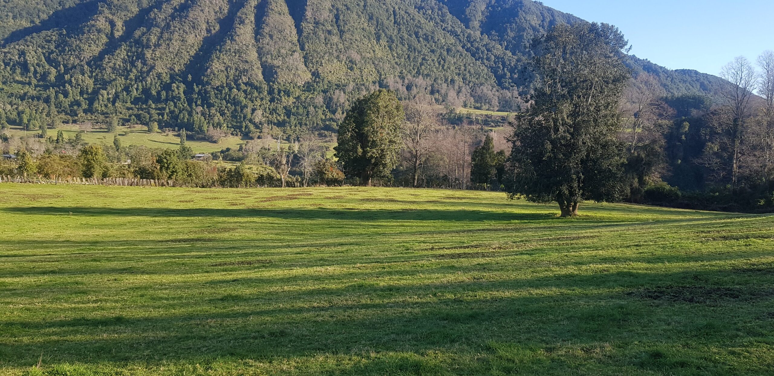 47 hectáreas con vista a lago - Imagen 6
